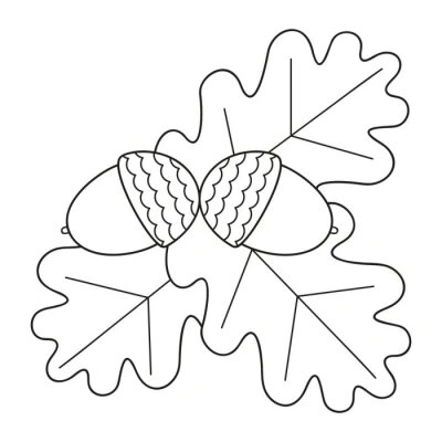 Two acorns on leaves coloring page